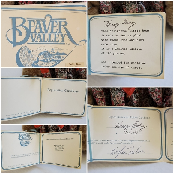 Very Rare Beaver Valley "Honey Baby" Bear Plush Doll Kaylee Nilan - Picture 16 of 16